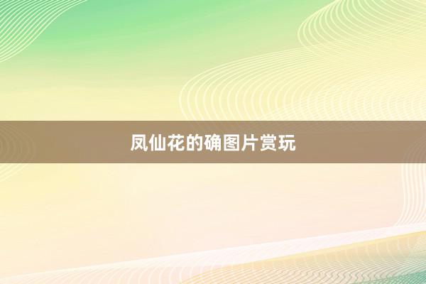 凤仙花的确图片赏玩