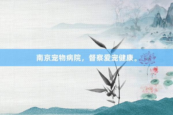 南京宠物病院,督察爱宠健康。