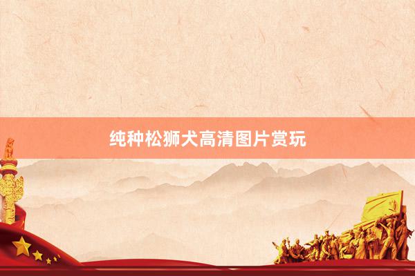 纯种松狮犬高清图片赏玩