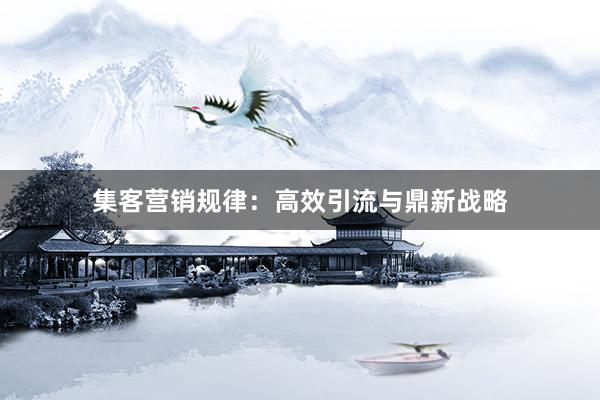 集客营销规律：高效引流与鼎新战略